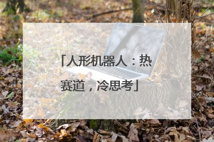 人形机器人：热赛道，冷思考