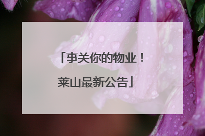 事关你的物业！莱山最新公告