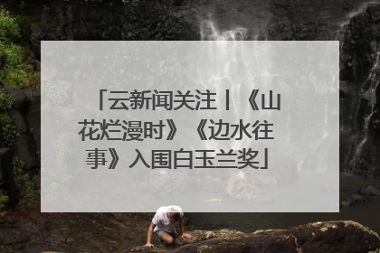 云新闻关注丨《山花烂漫时》《边水往事》入围白玉兰奖