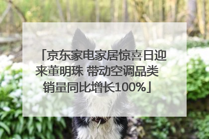 京东家电家居惊喜日迎来董明珠 带动空调品类销量同比增长100%