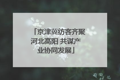 京津冀纺客齐聚河北高阳 共谋产业协同发展