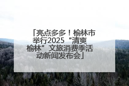 亮点多多！榆林市举行2025“清爽榆林”文旅消费季活动新闻发布会