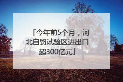 今年前5个月，河北自贸试验区进出口超300亿元