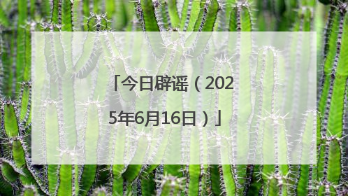 今日辟谣（2025年6月16日）