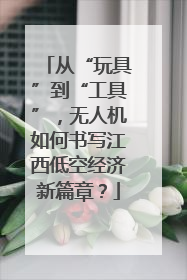 从“玩具”到“工具”，无人机如何书写江西低空经济新篇章？