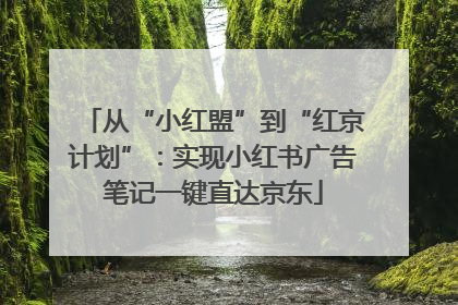 从“小红盟”到“红京计划”：实现小红书广告笔记一键直达京东