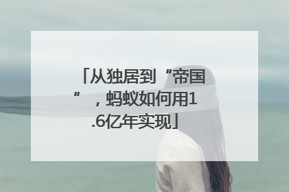 从独居到“帝国”，蚂蚁如何用1.6亿年实现