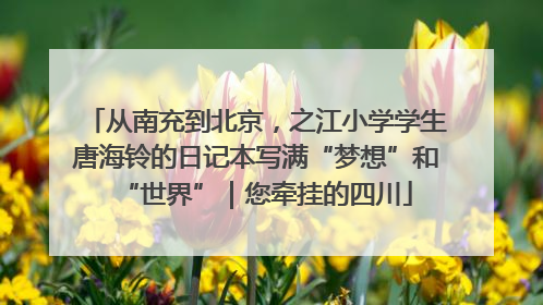 从南充到北京，之江小学学生唐海铃的日记本写满“梦想”和“世界”｜您牵挂的四川