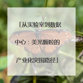 从实验室到数据中心：美光颗粒的产业化突围路径