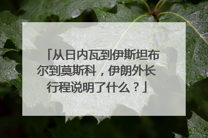 从日内瓦到伊斯坦布尔到莫斯科，伊朗外长行程说明了什么？
