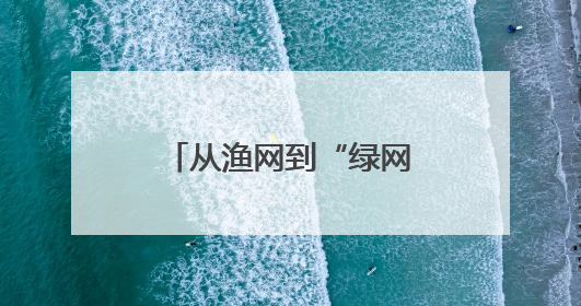 从渔网到“绿网”，蔡甸桐湖网住绿色生态经济