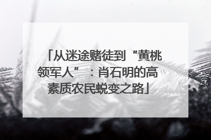 从迷途赌徒到“黄桃领军人”：肖石明的高素质农民蜕变之路