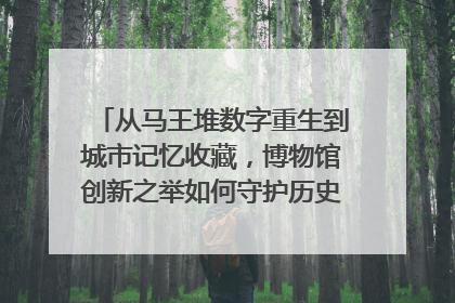 从马王堆数字重生到城市记忆收藏，博物馆创新之举如何守护历史、连接未来？