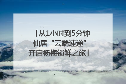 从1小时到5分钟 仙居“云端速递”开启杨梅锁鲜之旅