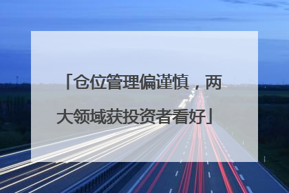 仓位管理偏谨慎，两大领域获投资者看好