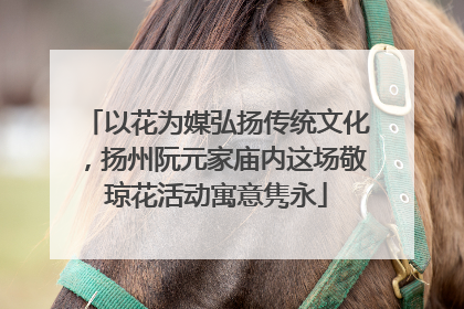 以花为媒弘扬传统文化，扬州阮元家庙内这场敬琼花活动寓意隽永