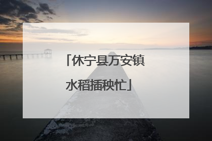 休宁县万安镇水稻插秧忙