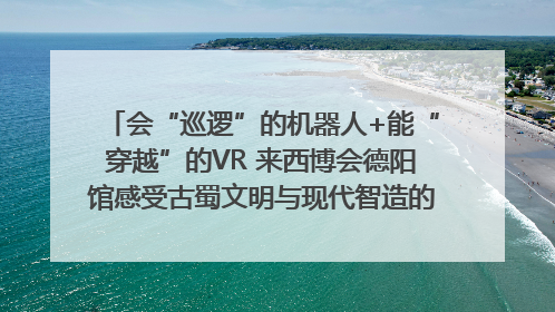 会“巡逻”的机器人+能“穿越”的VR 来西博会德阳馆感受古蜀文明与现代智造的时空对话｜西博视界