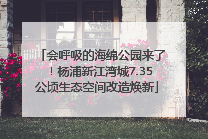 会呼吸的海绵公园来了！杨浦新江湾城7.35公顷生态空间改造焕新