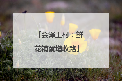 会泽上村：鲜花铺就增收路
