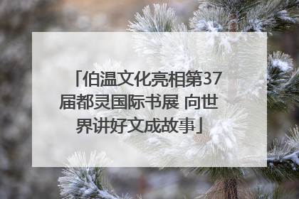 伯温文化亮相第37届都灵国际书展 向世界讲好文成故事