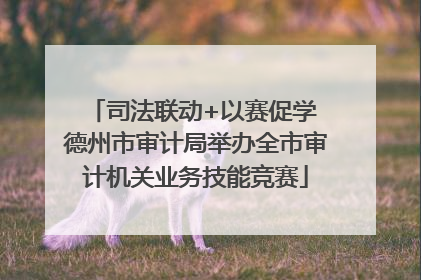 司法联动+以赛促学 德州市审计局举办全市审计机关业务技能竞赛