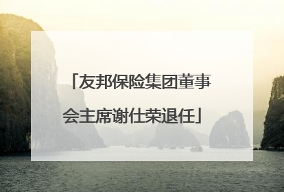 友邦保险集团董事会主席谢仕荣退任
