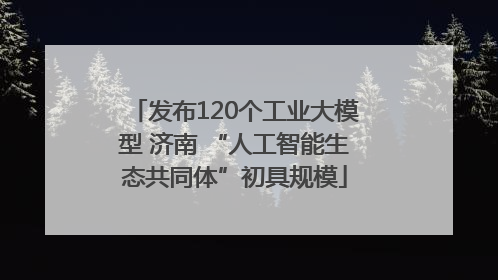 发布120个工业大模型 济南 “人工智能生态共同体”初具规模