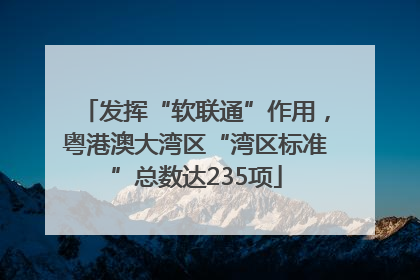 发挥“软联通”作用，粤港澳大湾区“湾区标准”总数达235项
