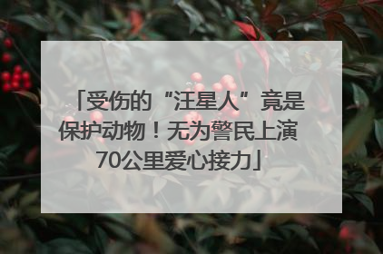 受伤的“汪星人”竟是保护动物！无为警民上演70公里爱心接力