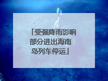 受强降雨影响 部分进出海南岛列车停运