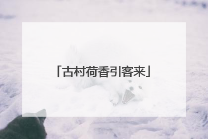 古村荷香引客来