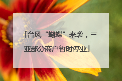 台风“蝴蝶”来袭，三亚部分商户暂时停业