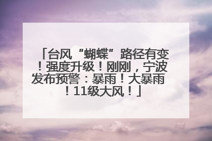 台风“蝴蝶”路径有变！强度升级！刚刚，宁波发布预警：暴雨！大暴雨！11级大风！