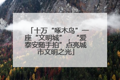 十万“啄木鸟”一座“文明城”，“爱泰安随手拍”点亮城市文明之光