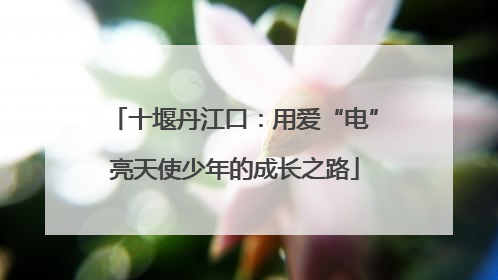十堰丹江口：用爱“电”亮天使少年的成长之路