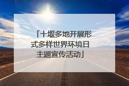 十堰多地开展形式多样世界环境日主题宣传活动