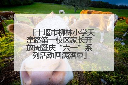 十堰市柳林小学天津路第一校区家长开放周暨庆“六一”系列活动圆满落幕