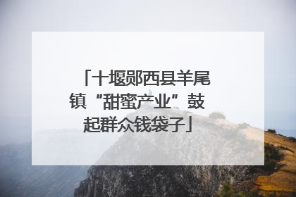 十堰郧西县羊尾镇“甜蜜产业”鼓起群众钱袋子