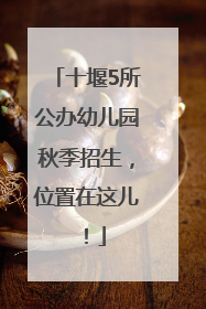 十堰5所公办幼儿园秋季招生，位置在这儿！