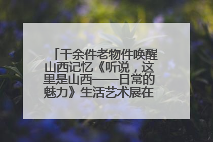 千余件老物件唤醒山西记忆《听说，这里是山西——日常的魅力》生活艺术展在忻州市图书馆开展