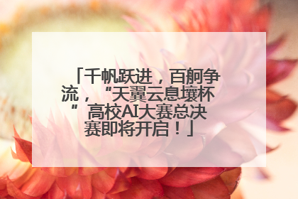 千帆跃进，百舸争流，“天翼云息壤杯”高校AI大赛总决赛即将开启！