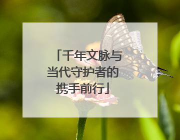 千年文脉与当代守护者的携手前行