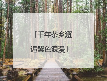 千年茶乡邂逅紫色浪漫