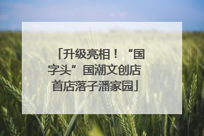 升级亮相！“国字头”国潮文创店首店落子潘家园