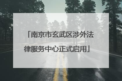 南京市玄武区涉外法律服务中心正式启用