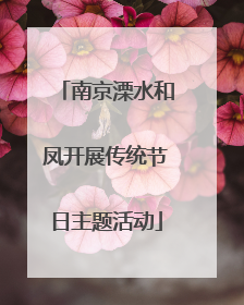 南京溧水和凤开展传统节日主题活动