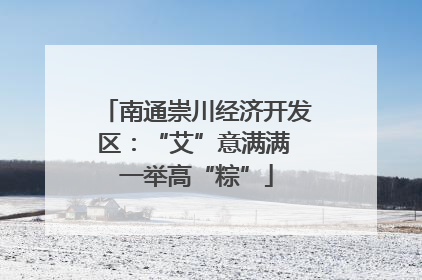 南通崇川经济开发区：“艾”意满满 一举高“粽”
