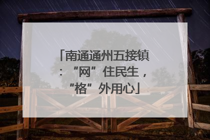 南通通州五接镇：“网”住民生，“格”外用心