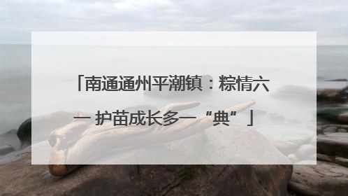 南通通州平潮镇：粽情六一 护苗成长多一“典”